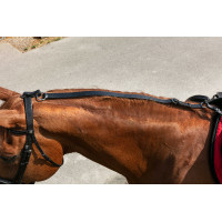 Norton Pulley Ausbinder Schwarz