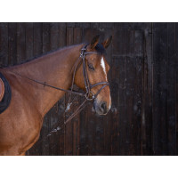 Flaschenzug Gogue Riding World Havanna Braun