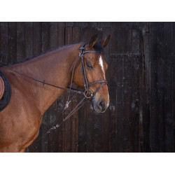 Flaschenzug Gogue Riding World Havanna Braun