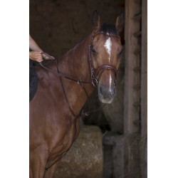 Ringmartingal Norton Pro Havanna Braun
