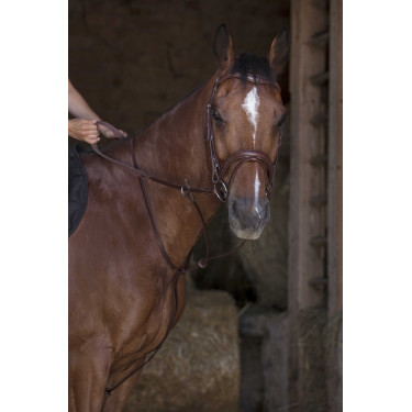 Ringmartingal Norton Pro Havanna Braun