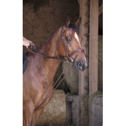 Deutsche Zügel Leder / Seil Norton Pro Havanna Braun