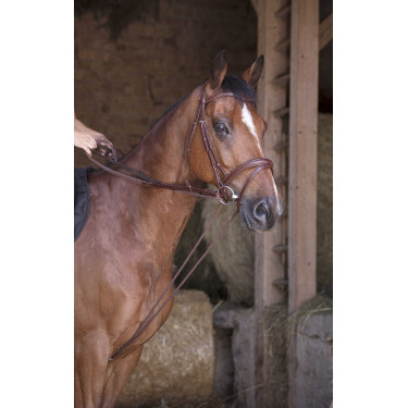 Deutsche Zügel Leder / Seil Norton Pro Havanna Braun