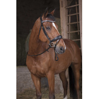 Griffzügel Norton Pro Havanna / Braun