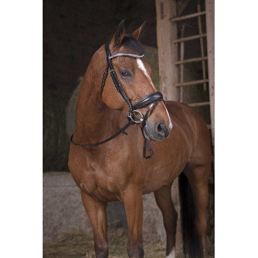 Griffzügel Norton Pro Schwarz / schwarz