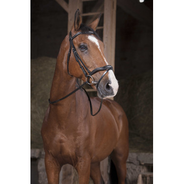 Norton Pro Supergrip Zügel Schwarz