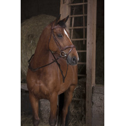 Zügel mit Griffen Norton Pro Havanna Braun