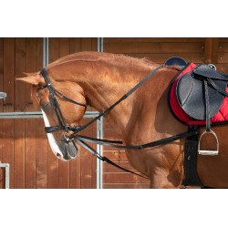 Wiener Zügel Norton Club