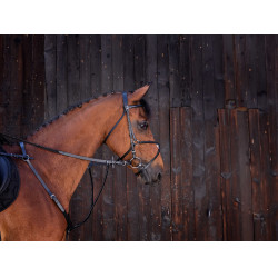 Martingal mit Ringen Riding World Schwarz