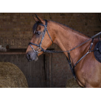 Brustblatt Eric Thomas Hybrid Schwarz