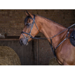 Brustblatt Eric Thomas Hybrid Schwarz