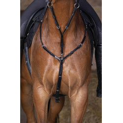 Brustblatt Eric Thomas Hybrid Schwarz