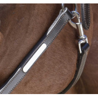 Lederhalfter Norton Pro Grooming Schwarz