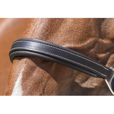 Lederhalfter Norton Pro Grooming Schwarz