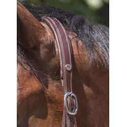 Lederhalfter Norton Pro Grooming Havanna Braun