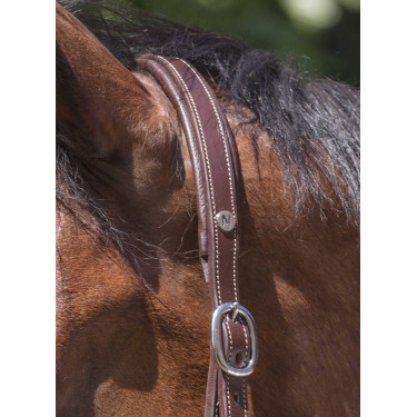 Lederhalfter Norton Pro Grooming Havanna Braun
