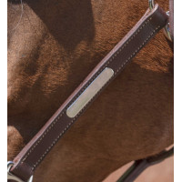 Lederhalfter Norton Pro Grooming Schwarz