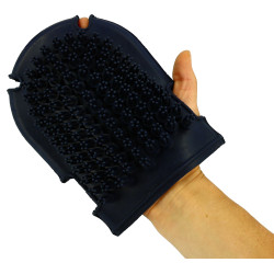 Handschuh mit Bürste + Striegel