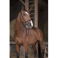 Zügel Hunter Norton Pro 16 mm Schwarz Zügel Hunter Norton Pro 16 mm Schwarz