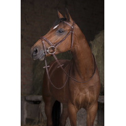 Zügel Hunter Norton Pro 16 mm Havanna Braun