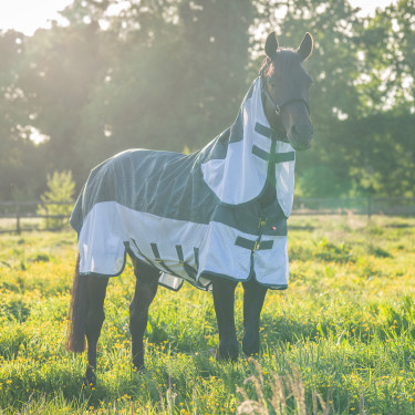 Fliegen- und Regendecke Imperial Riding Super-dry Waldgrün Gr&uuml;n