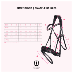 Trense Imperial Riding Di Layla mit kombiniertem Reithalfter