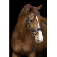 Trense Impérial Riding Fria Burgund Bordeaux Trense Impérial Riding Fria Burgund Bordeaux
