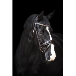 Trense Impérial Riding Fria Braun