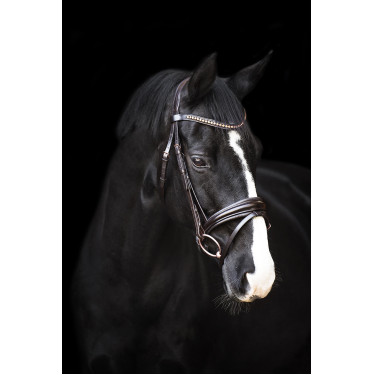 Trense Impérial Riding Fria Braun