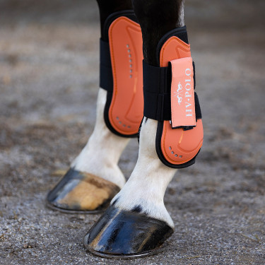 Gamaschen und Streichkappen HV Polo Classic Ingwer Orange Gamaschen und Streichkappen HV Polo Classic Ingwer Orange