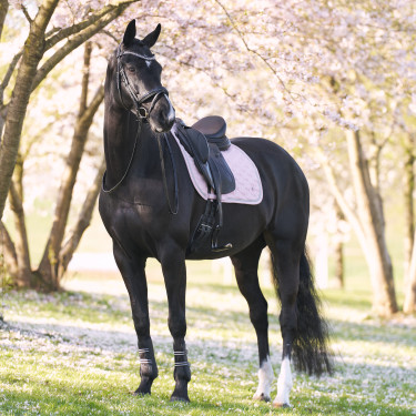 Satteldecke Imperial Riding Lenny DR Quarz Rosa