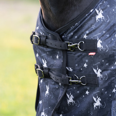 Fliegendecke Imperial Riding Carlys Grauer Pixie Dust AOP Motive Fliegendecke Imperial Riding Carlys Grauer Pixie Dust AOP Motive