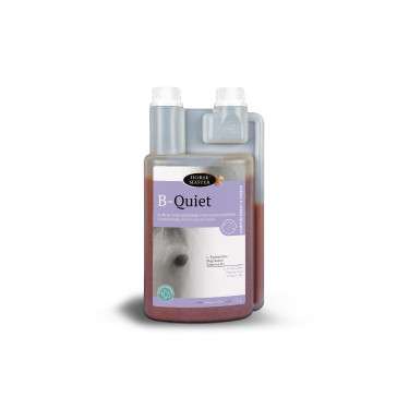 B-Quiet Horse Master B-Quiet Horse Master