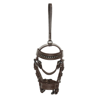 HV Polo Legacy Trensencharm Anhänger Mandel Braun HV Polo Legacy Trensencharm Anhänger Mandel Braun