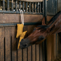 Stallspielzeug Imperial Riding Blitz Gelb Stallspielzeug Imperial Riding Blitz Gelb