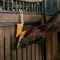 Stallspielzeug Imperial Riding Blitz Gelb Stallspielzeug Imperial Riding Blitz Gelb