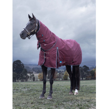 ComFiTec Essential Turnout-Decke Weatherbeeta 220 g mit abnehmbarem Halsteil Bordeaux / Marine