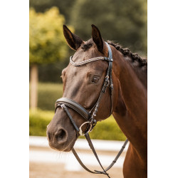 Stirnband mit Strass Horze Columbia Schwarz / Silber