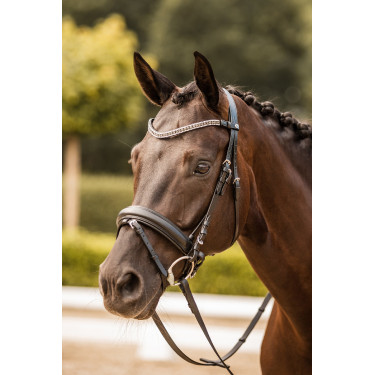 Stirnband mit Strass Horze Columbia Schwarz / Silber