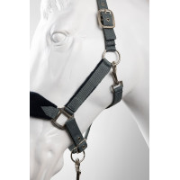 Horze Magic Halfter und Führstrick Sturmgrau
