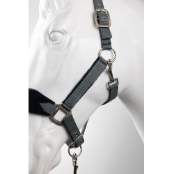 Horze Magic Halfter und Führstrick Sturmgrau