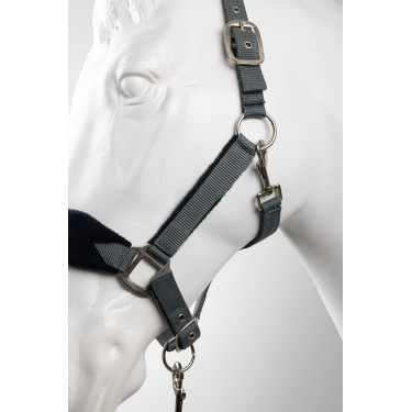 Horze Magic Halfter und Führstrick Sturmgrau
