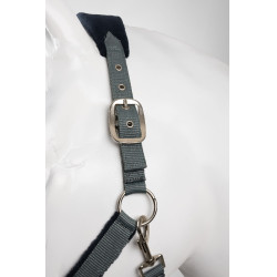 Horze Magic Halfter und Führstrick Sturmgrau