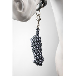 Horze Magic Halfter und Führstrick Sturmgrau