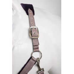 Horze Magic Halfter und Führstrick Violetter Silex Lila