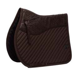 new Pflaume mit Schokolade