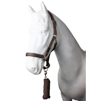 new Quarzfarbenes Café