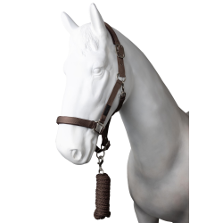 new Quarzfarbenes Café