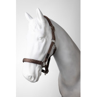 new Quarzfarbenes Café