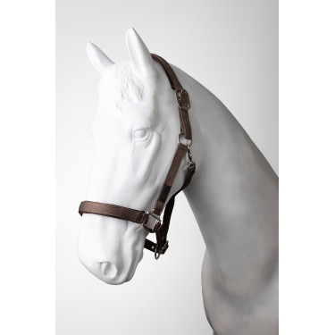 new Quarzfarbenes Café